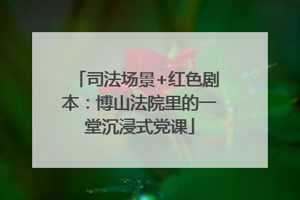 司法场景+红色剧本：博山法院里的一堂沉浸式党课