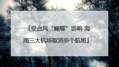 受台风“蝴蝶”影响 海南三大机场取消多个航班