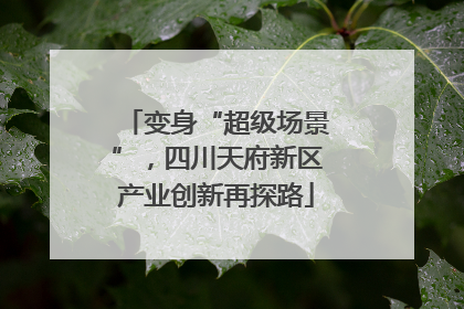 变身“超级场景”，四川天府新区产业创新再探路
