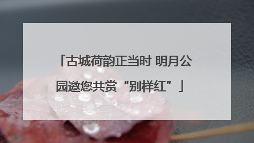 古城荷韵正当时 明月公园邀您共赏“别样红”