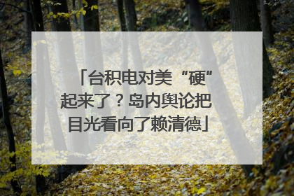 台积电对美“硬”起来了？岛内舆论把目光看向了赖清德