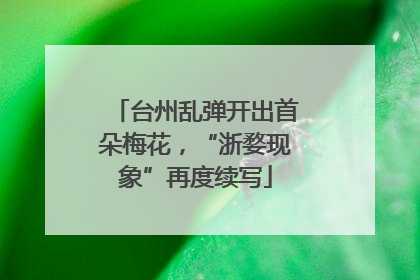 台州乱弹开出首朵梅花，“浙婺现象”再度续写
