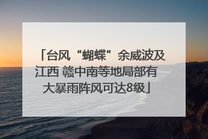 台风“蝴蝶”余威波及江西 赣中南等地局部有大暴雨阵风可达8级