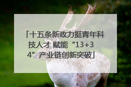 十五条新政力挺青年科技人才 赋能“13+34”产业链创新突破