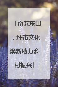 南安东田：圩市文化焕新助力乡村振兴