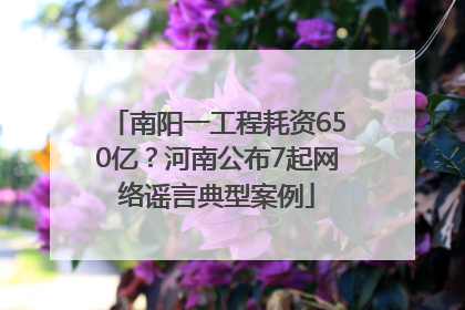 南阳一工程耗资650亿？河南公布7起网络谣言典型案例