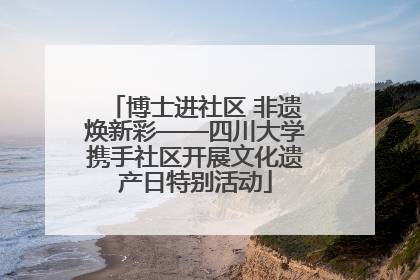 博士进社区 非遗焕新彩——四川大学携手社区开展文化遗产日特别活动