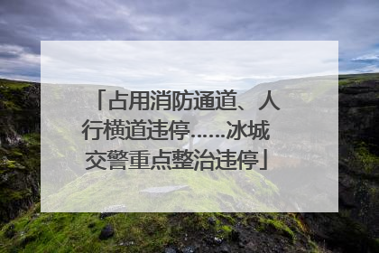 占用消防通道、人行横道违停……冰城交警重点整治违停