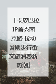 卡皮巴拉IP首秀南京路 拉动暑期步行街文旅消费新热潮