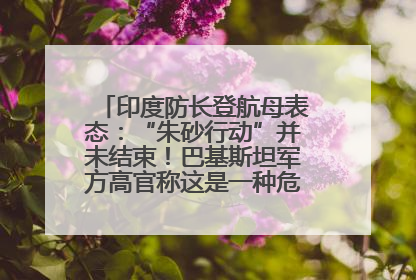 印度防长登航母表态：“朱砂行动”并未结束！巴基斯坦军方高官称这是一种危险的状况……