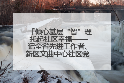倾心基层“智”理 托起社区幸福——记全省先进工作者、新区文曲中心社区党委书记董世弘