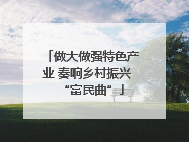 做大做强特色产业 奏响乡村振兴“富民曲”