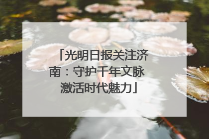 光明日报关注济南：守护千年文脉 激活时代魅力