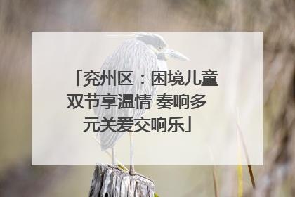 兖州区：困境儿童双节享温情 奏响多元关爱交响乐