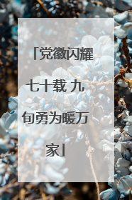 党徽闪耀七十载 九旬勇为暖万家