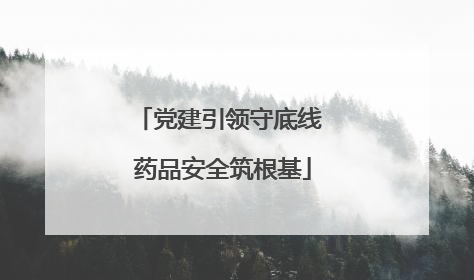 党建引领守底线 药品安全筑根基