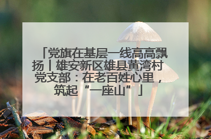 党旗在基层一线高高飘扬丨雄安新区雄县黄湾村党支部：在老百姓心里，筑起“一座山”