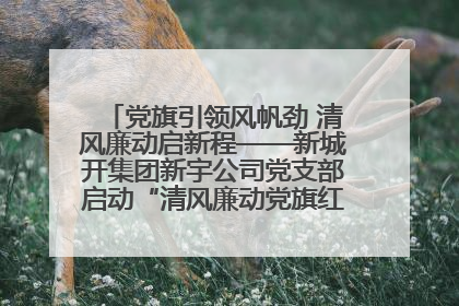 党旗引领风帆劲 清风廉动启新程——新城开集团新宇公司党支部启动“清风廉动党旗红”系列活动