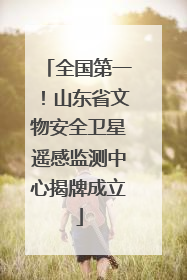 全国第一！山东省文物安全卫星遥感监测中心揭牌成立