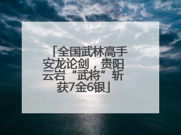 全国武林高手安龙论剑，贵阳云岩“武将”斩获7金6银