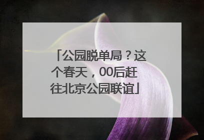 公园脱单局？这个春天，00后赶往北京公园联谊
