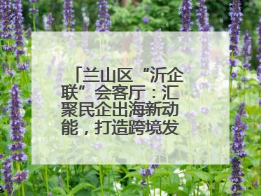 兰山区“沂企联”会客厅：汇聚民企出海新动能，打造跨境发展“强磁场”