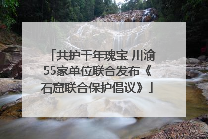 共护千年瑰宝 川渝55家单位联合发布《石窟联合保护倡议》