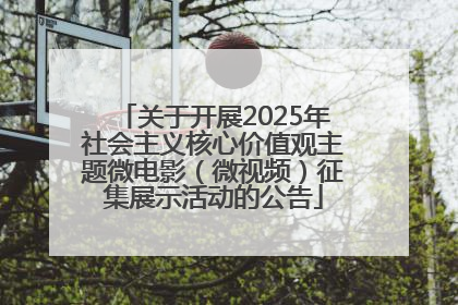 关于开展2025年社会主义核心价值观主题微电影（微视频）征集展示活动的公告
