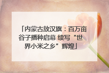 内蒙古敖汉旗：百万亩谷子播种启幕 续写“世界小米之乡”辉煌