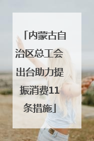 内蒙古自治区总工会出台助力提振消费11条措施