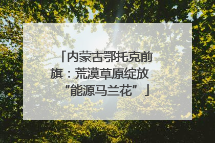 内蒙古鄂托克前旗：荒漠草原绽放“能源马兰花”