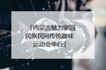 内蒙古魅力家园民族民间传统趣味运动会举行