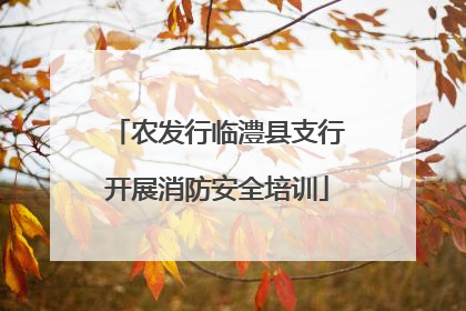 农发行临澧县支行开展消防安全培训