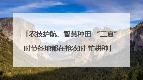 农技护航、智慧种田 “三夏”时节各地都在抢农时 忙耕种