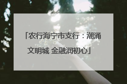 农行海宁市支行：潮涌文明城 金融润初心