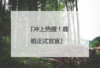 冲上热搜！鹿晗正式官宣