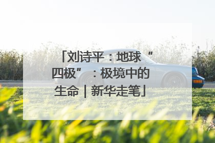 刘诗平：地球“四极”：极境中的生命｜新华走笔