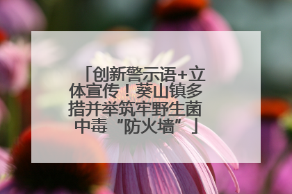 创新警示语+立体宣传！葵山镇多措并举筑牢野生菌中毒“防火墙”