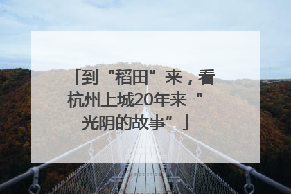 到“稻田”来,看杭州上城20年来“光阴的故事”