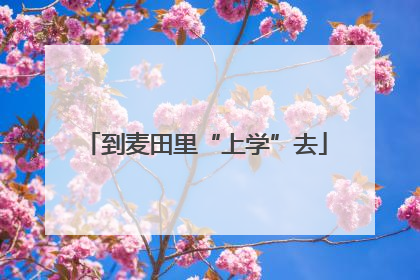 到麦田里“上学”去
