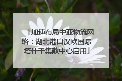 加速布局中亚物流网络：湖北港口汉欧国际塔什干集散中心启用