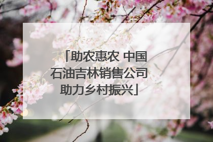 助农惠农 中国石油吉林销售公司助力乡村振兴