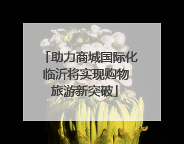 助力商城国际化 临沂将实现购物旅游新突破