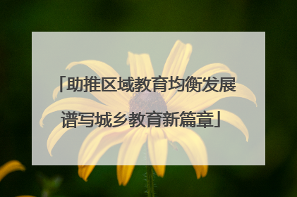 助推区域教育均衡发展 谱写城乡教育新篇章