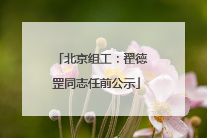 北京组工：翟德罡同志任前公示