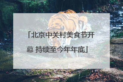 北京中关村美食节开幕 持续至今年年底