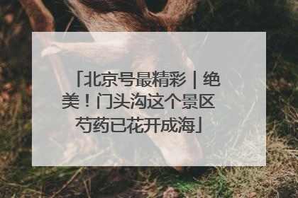 北京号最精彩｜绝美！门头沟这个景区芍药已花开成海