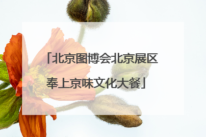 北京图博会北京展区奉上京味文化大餐