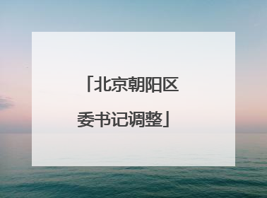 北京朝阳区委书记调整