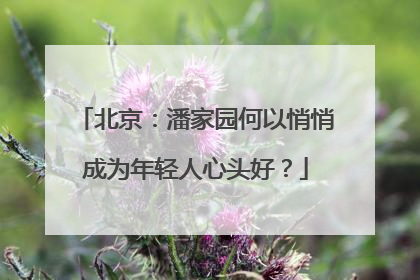 北京：潘家园何以悄悄成为年轻人心头好？